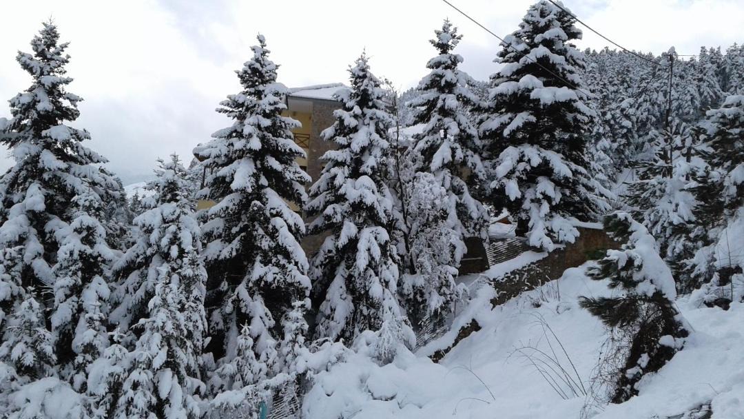 Photo of Others in Mesaia Trikala