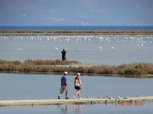Photo of Outdoor in Molos