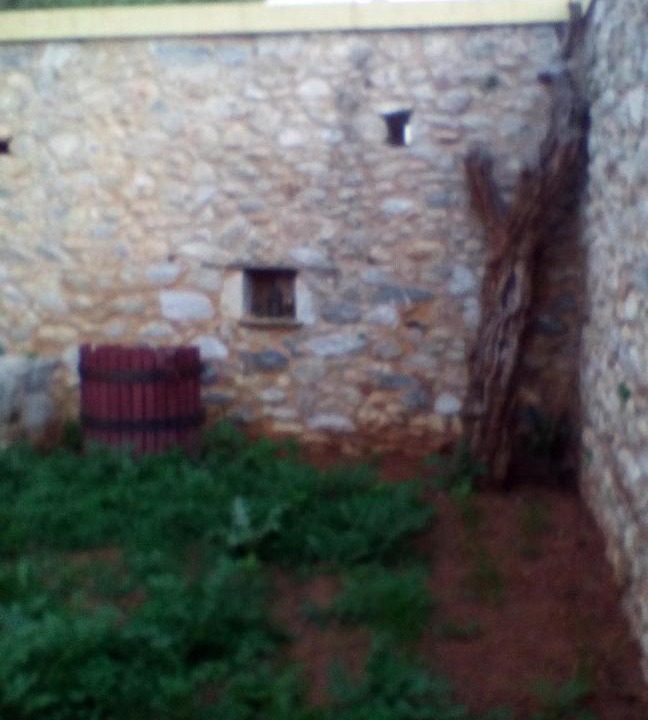 Photo of Others in Spata-Artemida