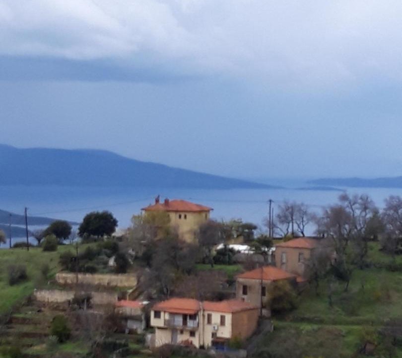 Photo of Others in Lafkos