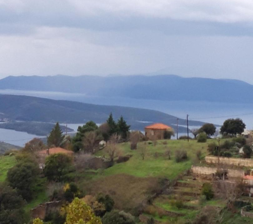 Photo of Others in Lafkos