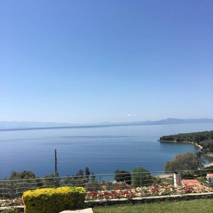 Photo of Others in Afissos