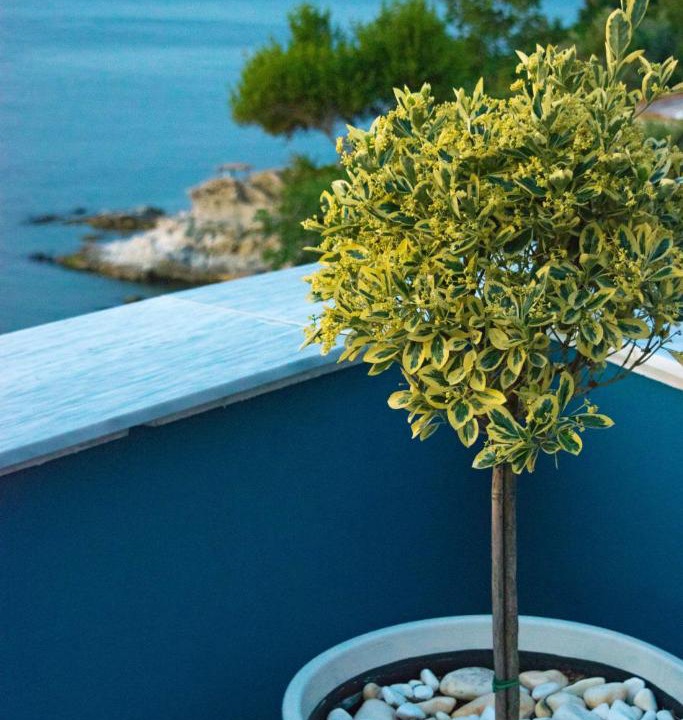 Photo of Others in Kavala