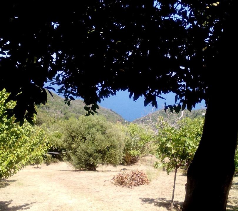 Photo of Others in Lambinou