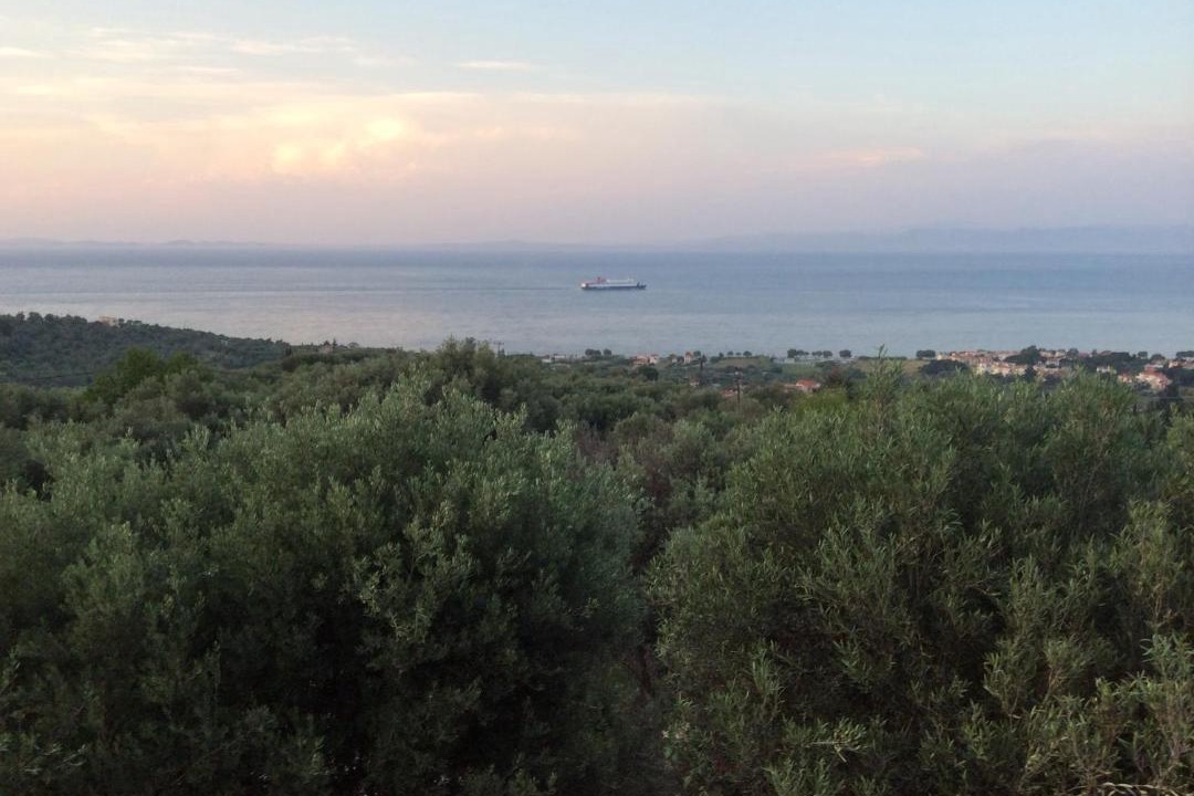 Photo of Others in Mytilene
