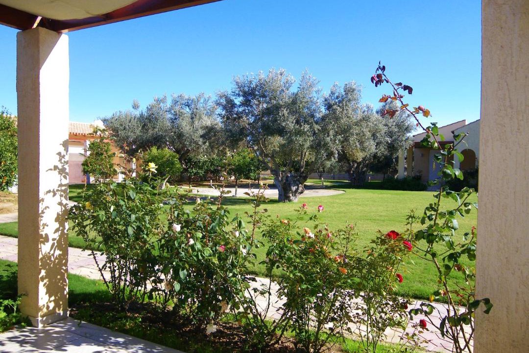 Photo of Others in Agii Apostoli