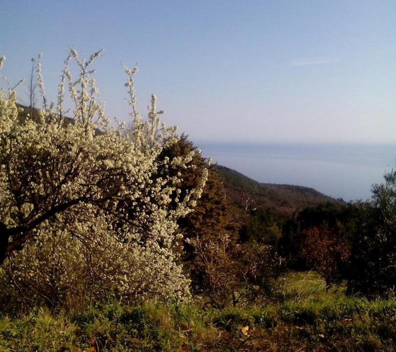 Photo of Others in Lambinou