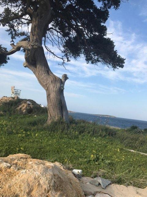 Photo of Others in Ampelas