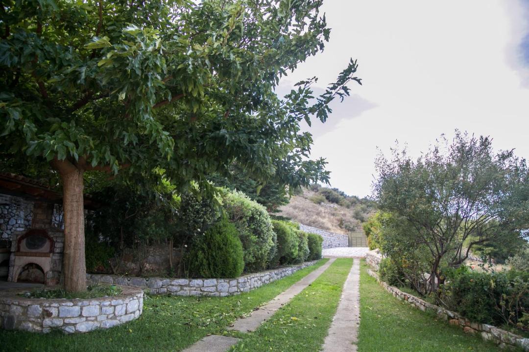 Photo of Others in Areopoli