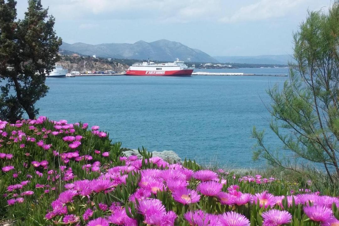 Photo of Others in Rafina-Pikermi