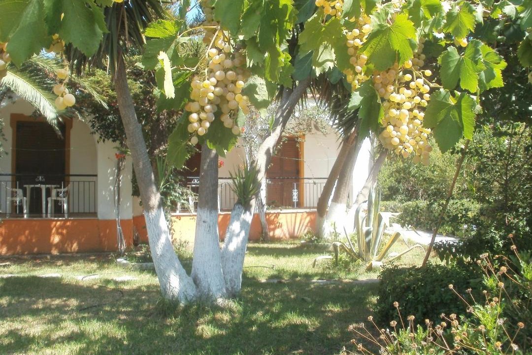 Photo of Buildings in Xanemos