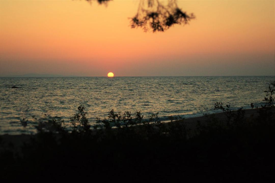 Photo of Outdoor in Zalongo
