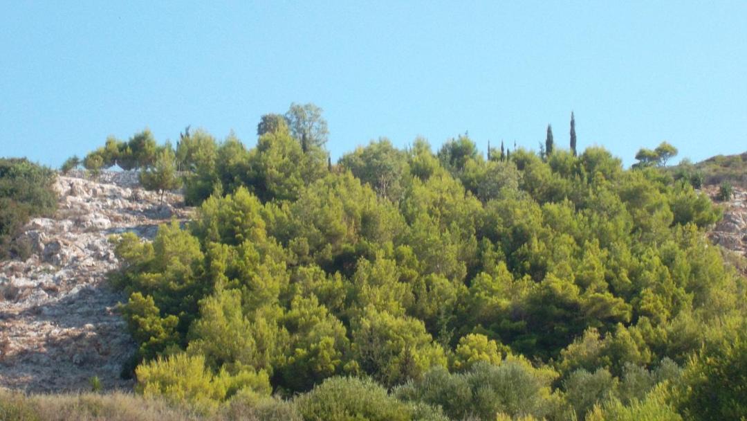 Photo of Outdoor in Agia Marina