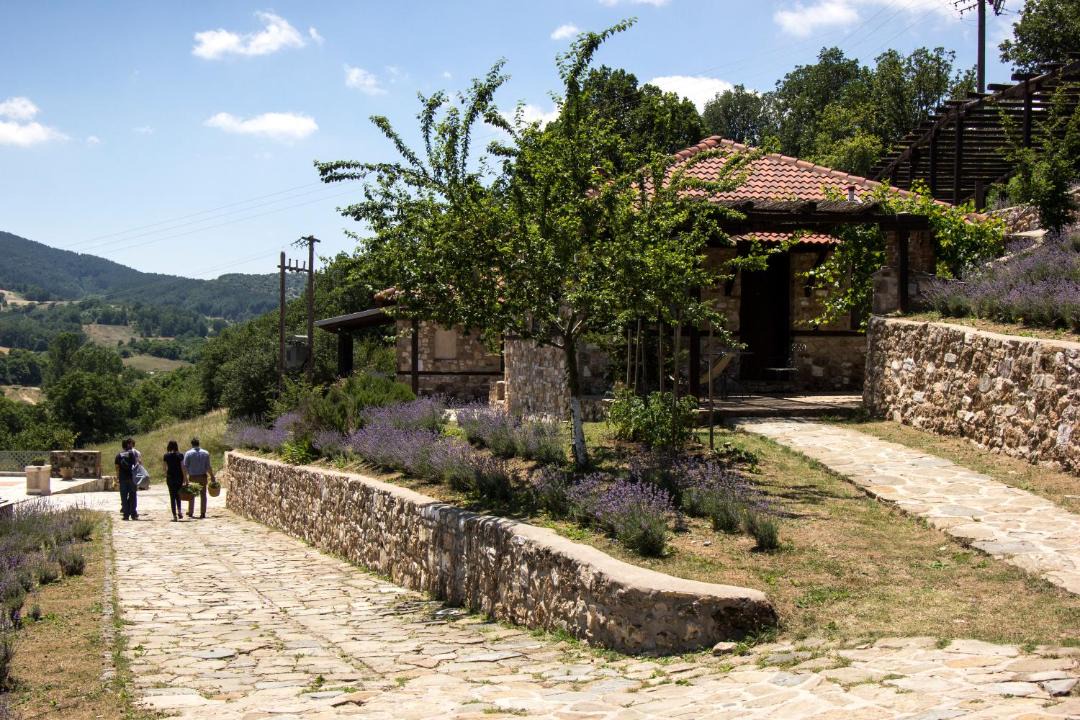 Photo of Others in Agios Dimitrios
