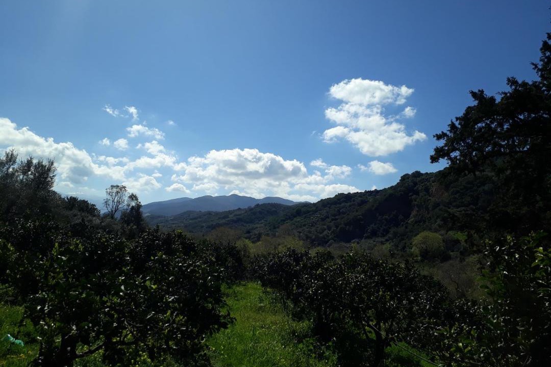 Photo of Outdoor in Platanias