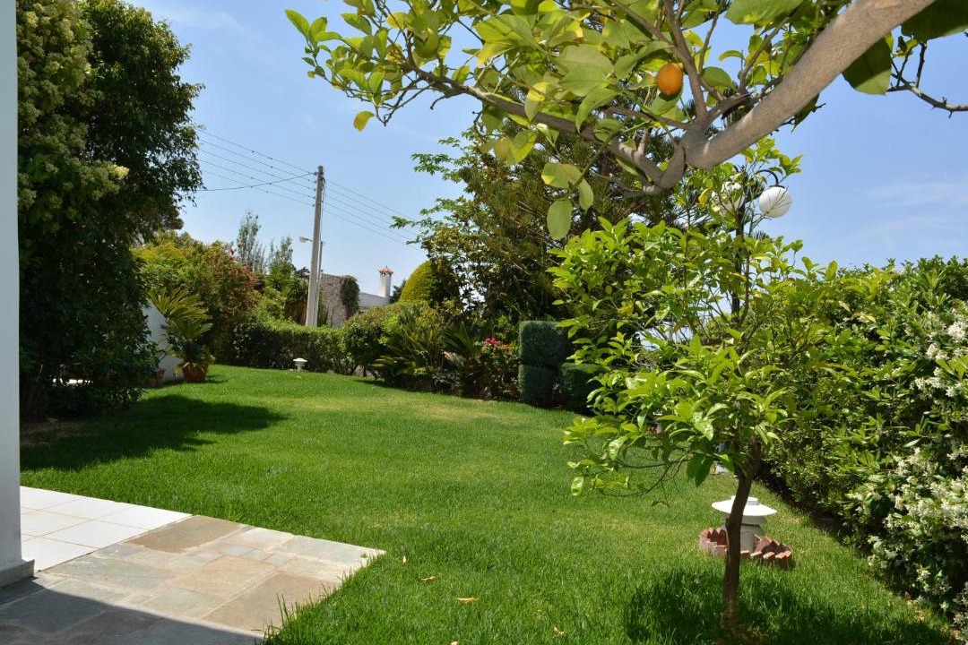 Photo of Others in Palaia Fokaia