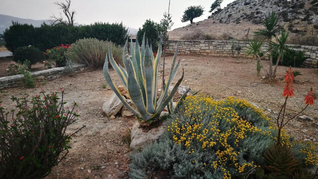 Photo of Outdoor in Mires