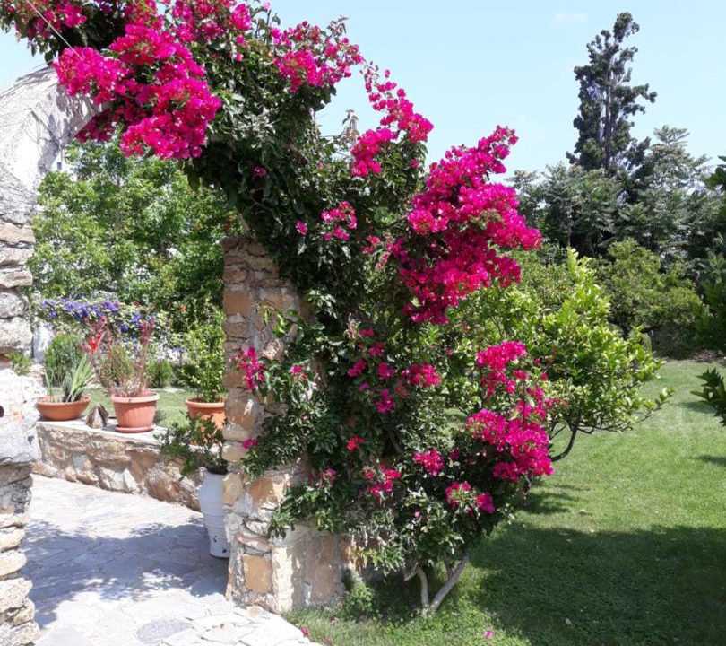 Photo of Others in Pyrgos Psilonerou