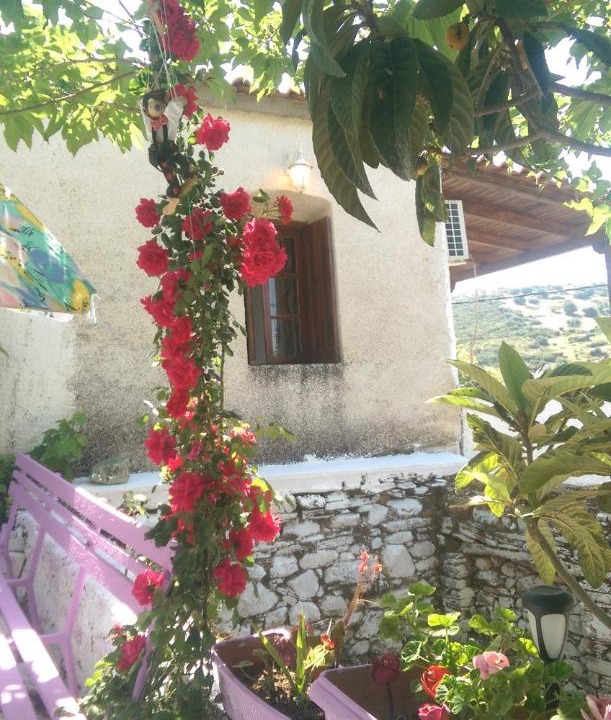 Photo of Others in Karystos