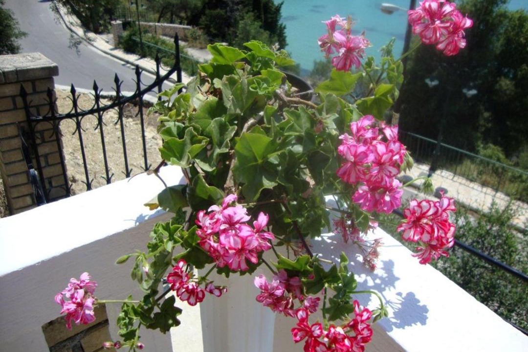 Photo of Patio Balcony in Lakones