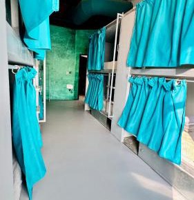 12-Bed in mixed Dormitory Room